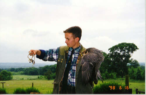 Falconer.jpg (22093 bytes)